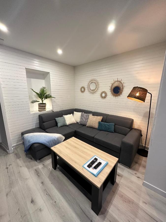 ** Grand appartement cosy au centre de Nay ** Extérieur photo